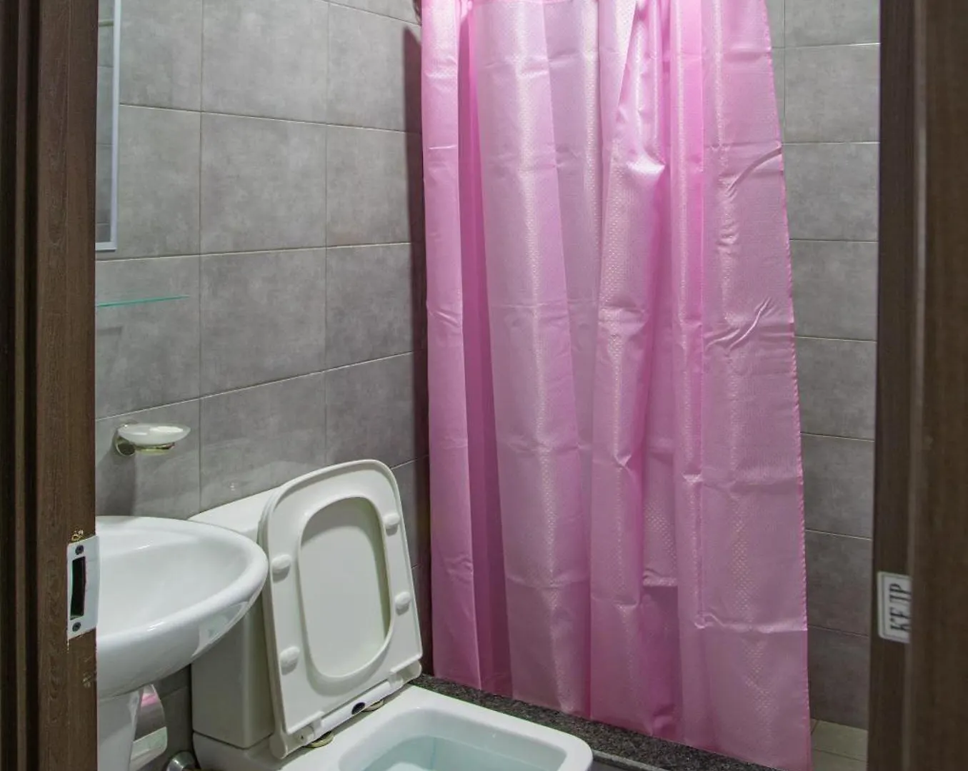 Hotel Homeland 바투미 4*,